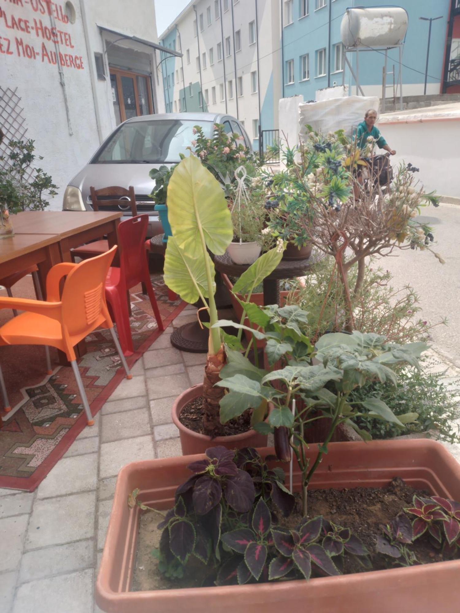 הוסטל Vlorë Casa Mia מראה חיצוני תמונה