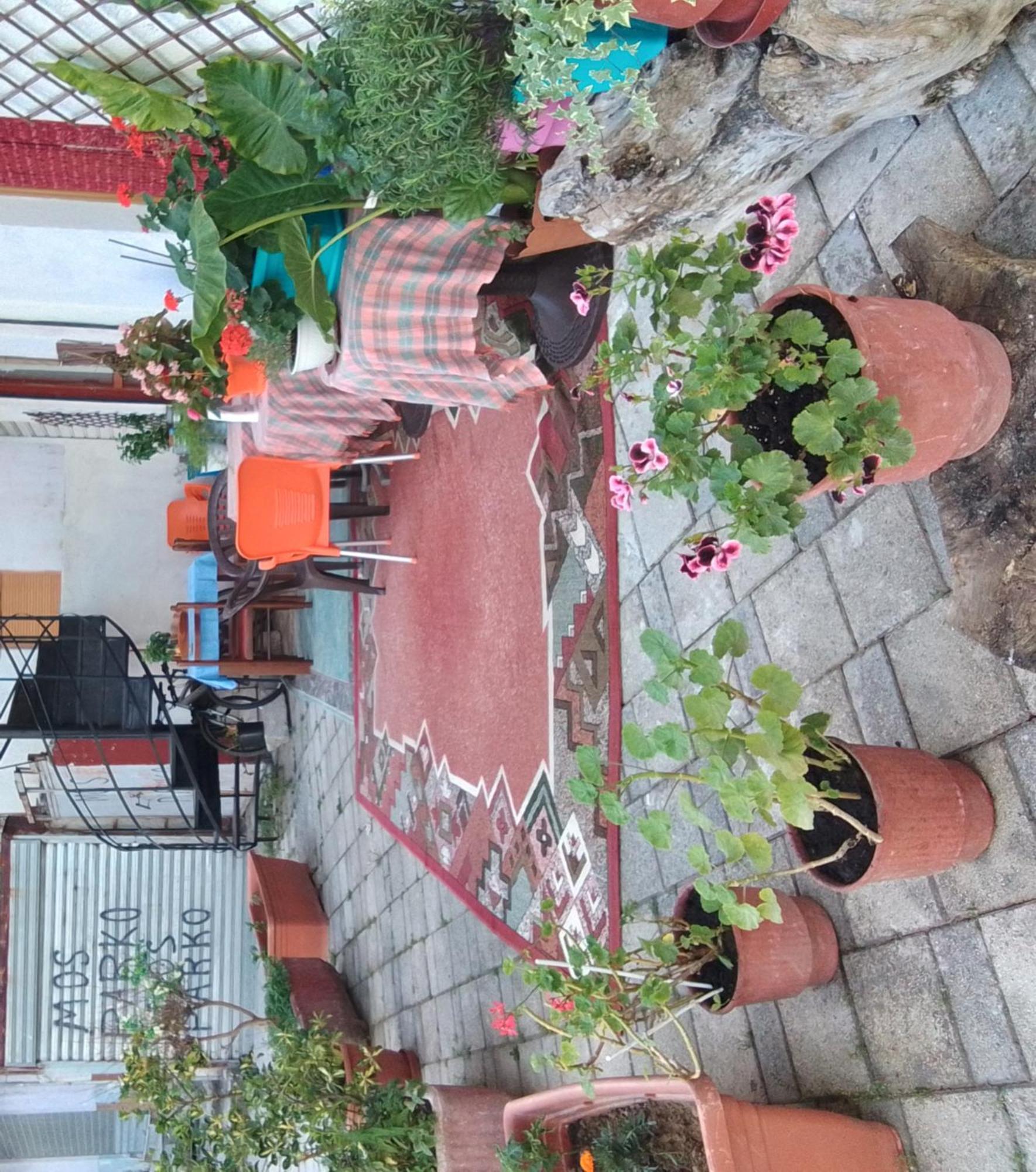 הוסטל Vlorë Casa Mia מראה חיצוני תמונה