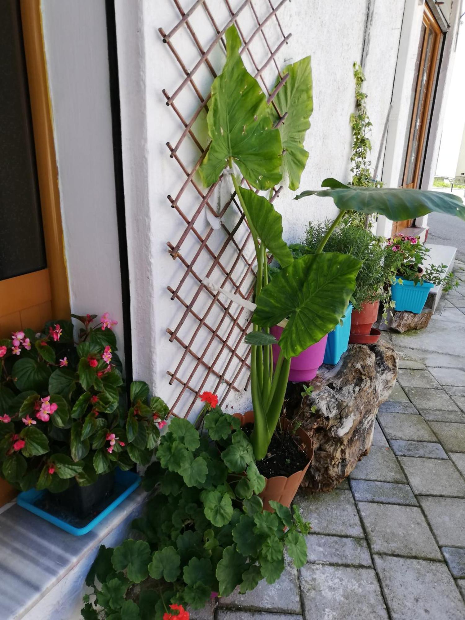הוסטל Vlorë Casa Mia מראה חיצוני תמונה